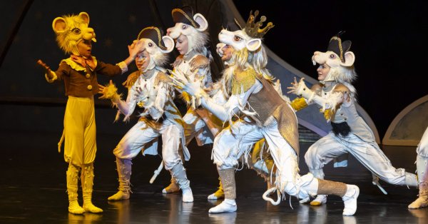 Koncert indexkép