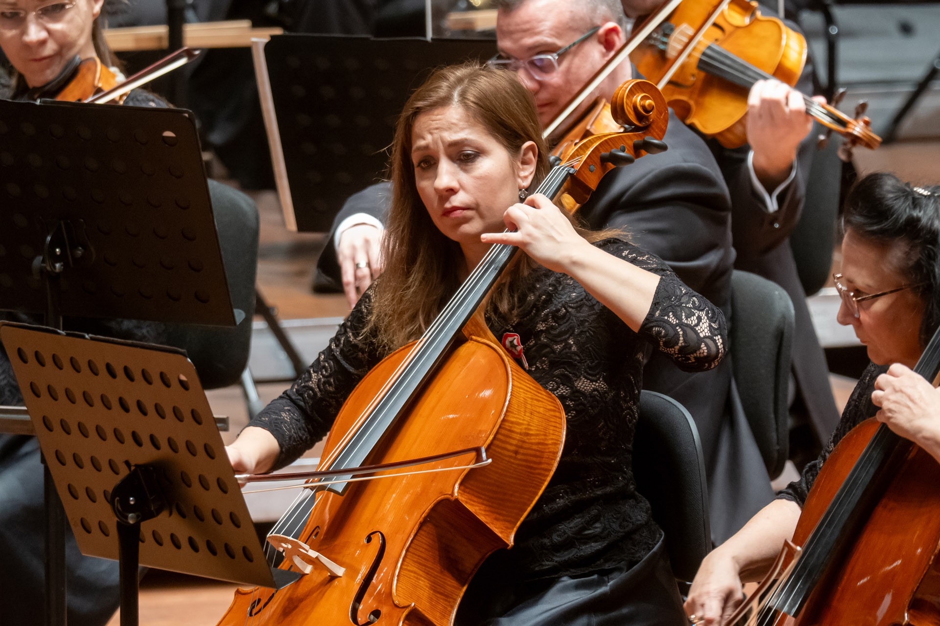 Koncert Galériakép