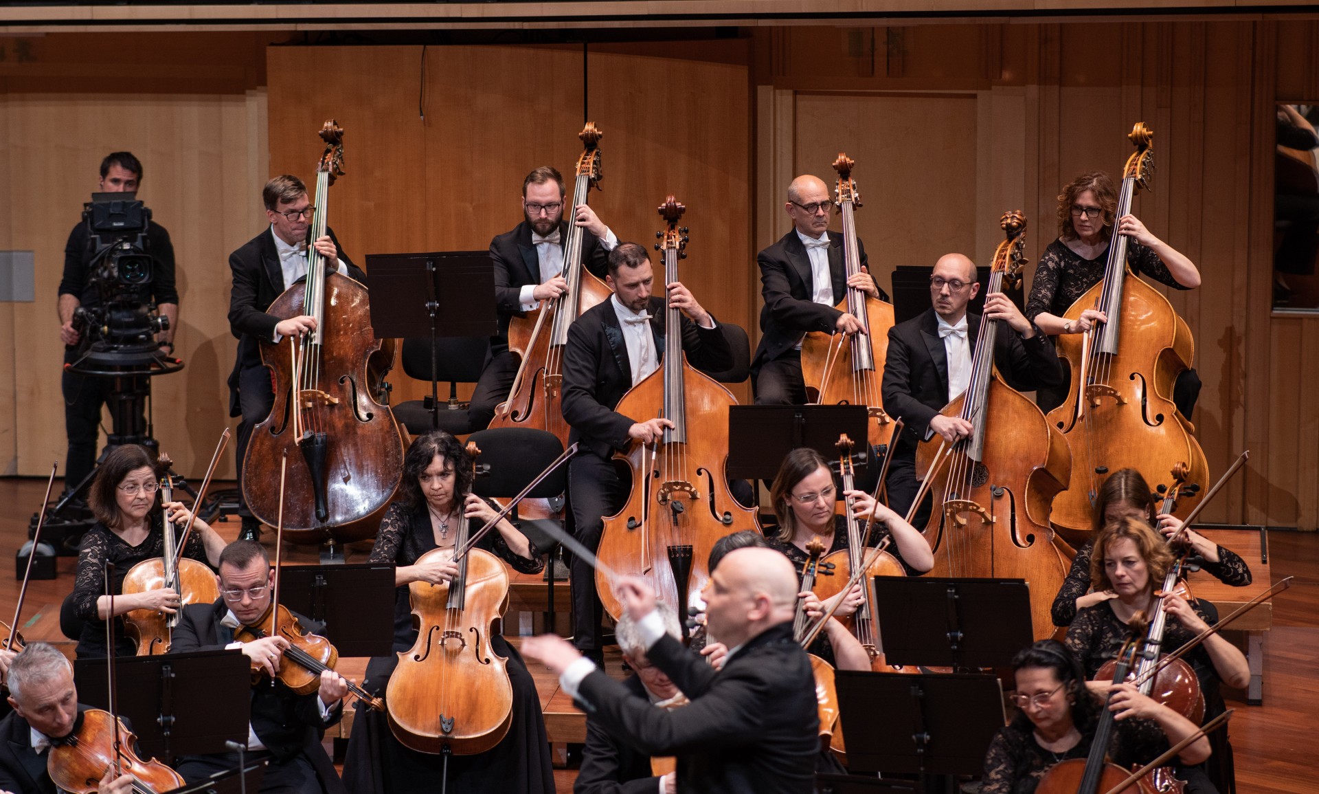 Koncert Galériakép