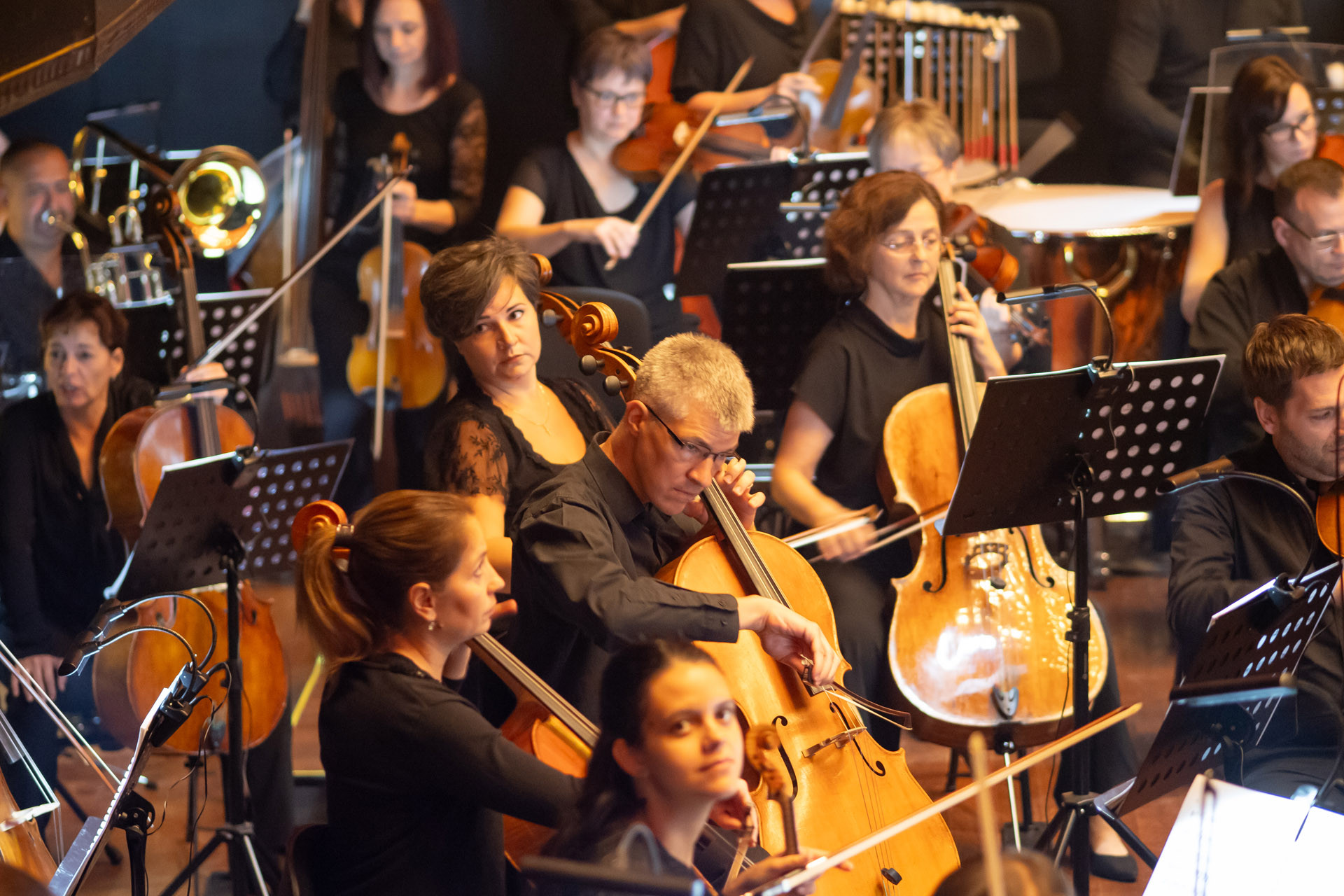 Koncert Galériakép
