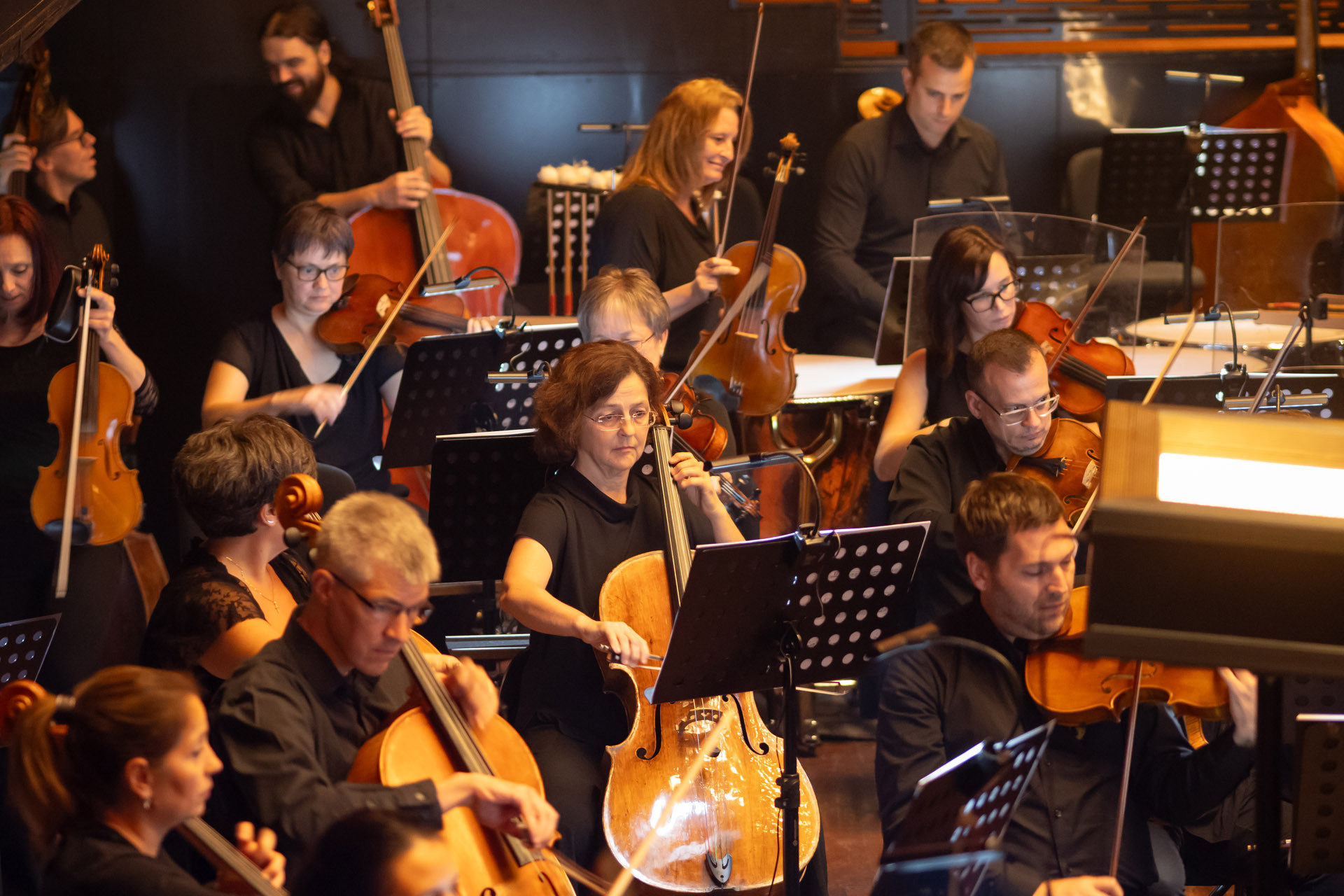 Koncert Galériakép